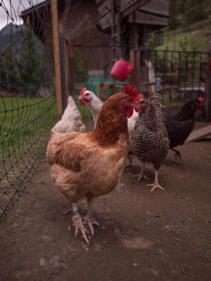 Haus Am Rechten Fleck Kaunertal Dış mekan fotoğraf